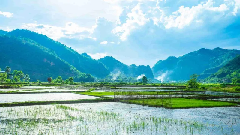 Local Experience Cycling Tour Vietnam: Live Like a Local